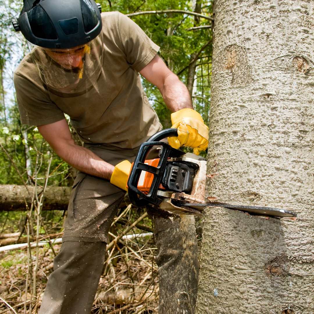 image-20230706142647-2